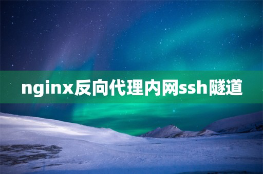 nginx代理SSH