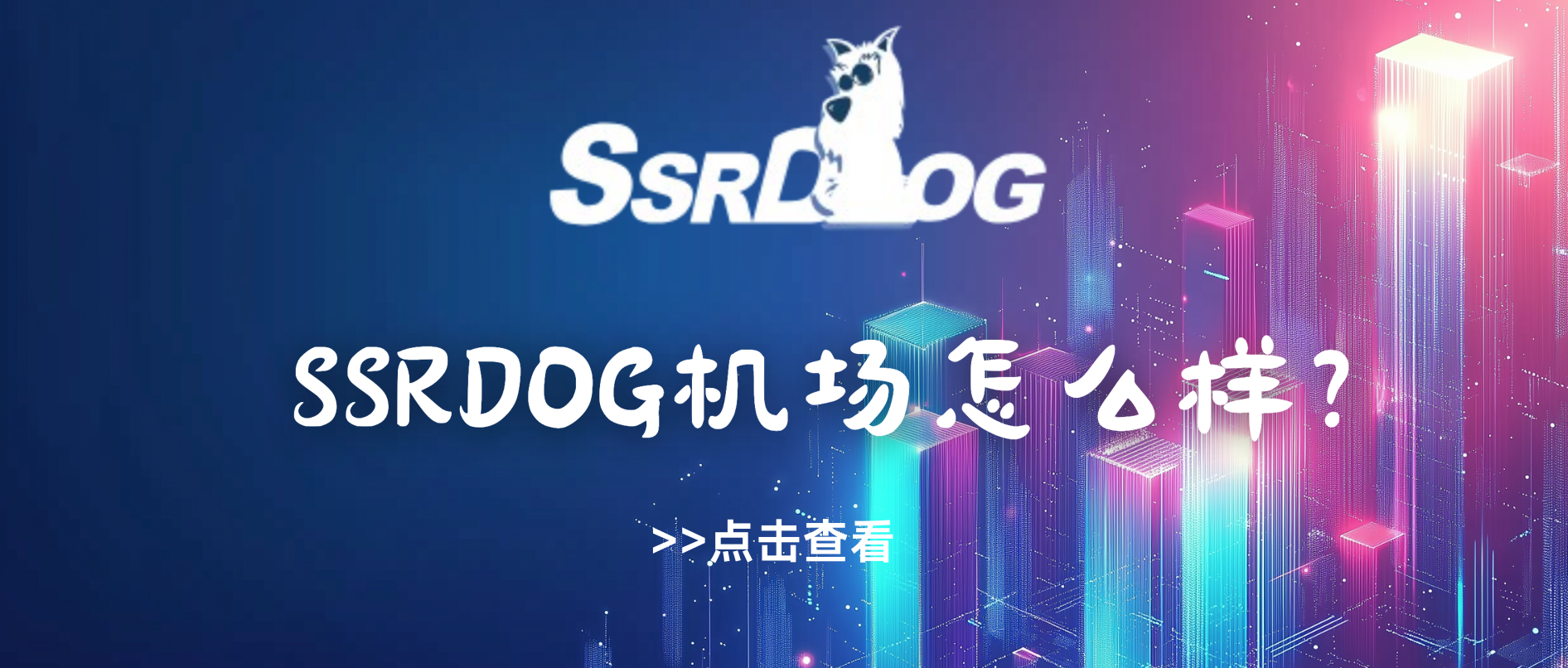 SSRDOG机场