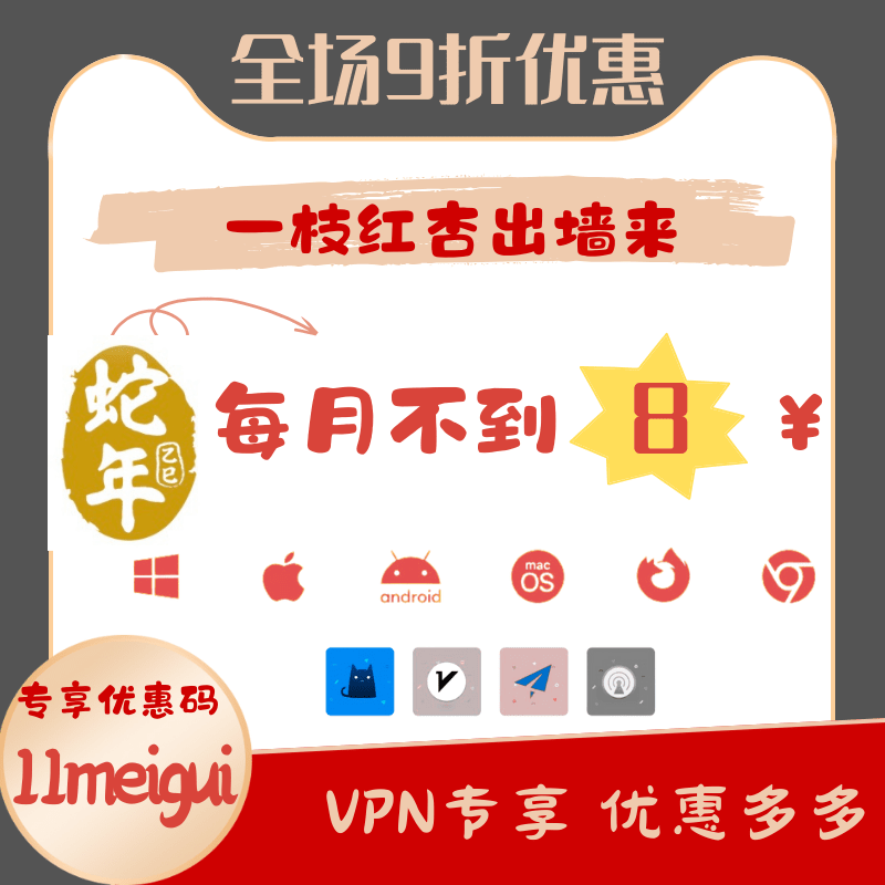 一枝红杏VPN优惠码